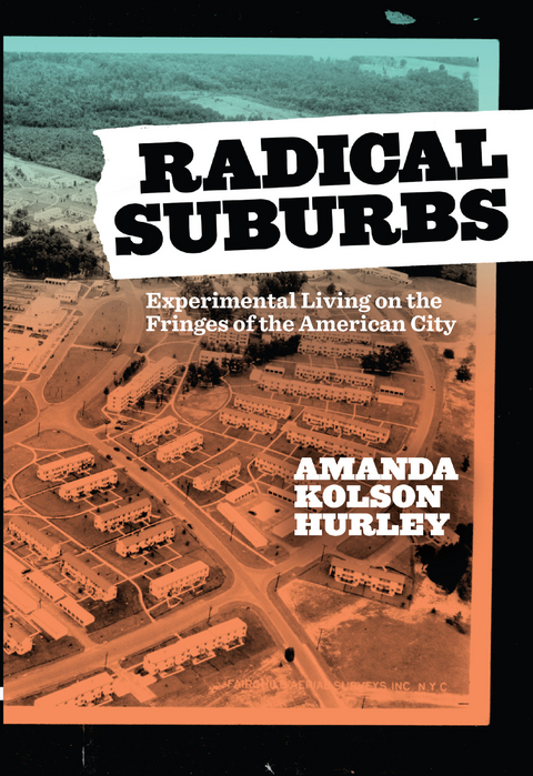 Radical Suburbs -  Amanda Kolson Hurley