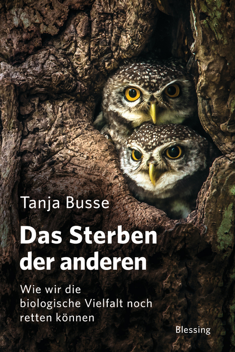 Das Sterben der anderen -  Tanja Busse