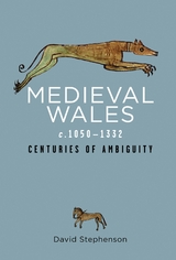 Medieval Wales c.1050-1332 -  David Stephenson