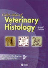 Color Atlas of Veterinary Histology - Bacha, William J.; Bacha, Linda M.