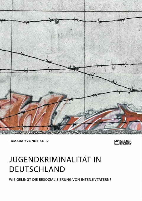 Jugendkriminalität in Deutschland. Wie gelingt die Resozialisierung von Intensivtätern? - Tamara Yvonne Kurz