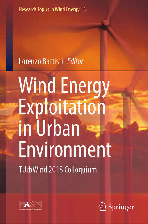 Wind Energy Exploitation in Urban Environment - 