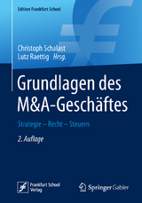 Grundlagen des M&A-Geschäftes - 