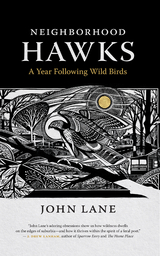 Neighborhood Hawks -  John Lane