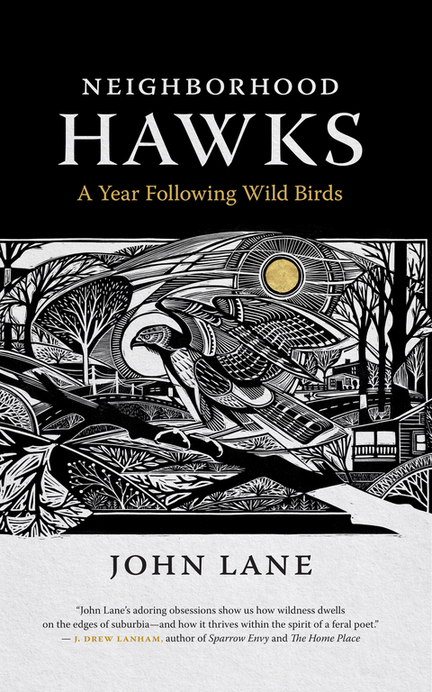 Neighborhood Hawks -  John Lane