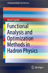 Functional Analysis and Optimization Methods in Hadron Physics - Irinel Caprini