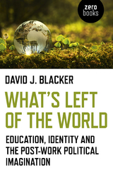 What's Left of the World -  David J. Blacker