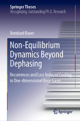 Non-Equilibrium Dynamics Beyond Dephasing - Bernhard Rauer