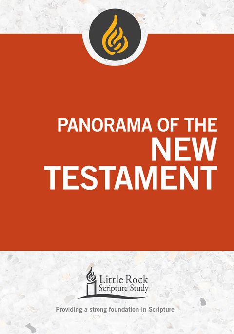 Panorama of the New Testament - Stephen J. Binz