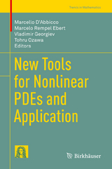 New Tools for Nonlinear PDEs and Application - 