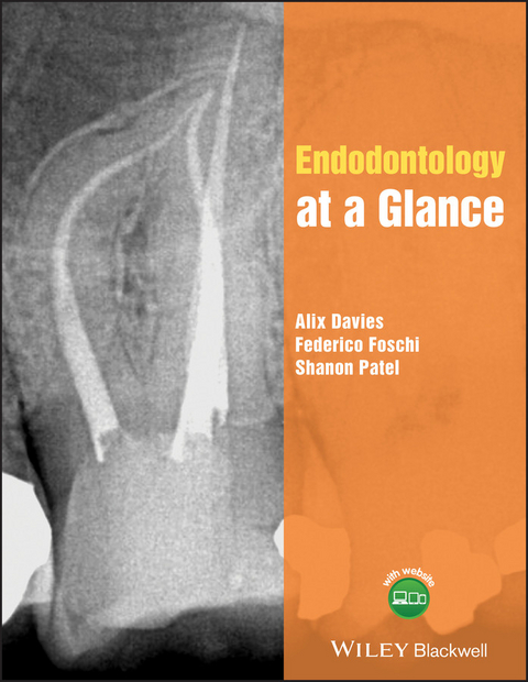 Endodontology at a Glance -  Alix Davies,  Federico Foschi,  Shanon Patel