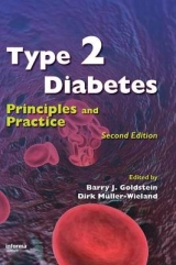 Type 2 Diabetes - Goldstein, Barry J.; Mueller-Wieland, Dirk