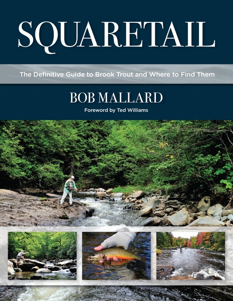 Squaretail -  Bob Mallard