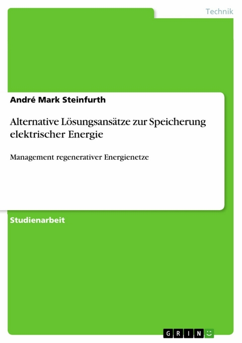 Alternative Lösungsansätze zur Speicherung elektrischer Energie - André Mark Steinfurth
