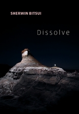 Dissolve -  Sherwin Bitsui