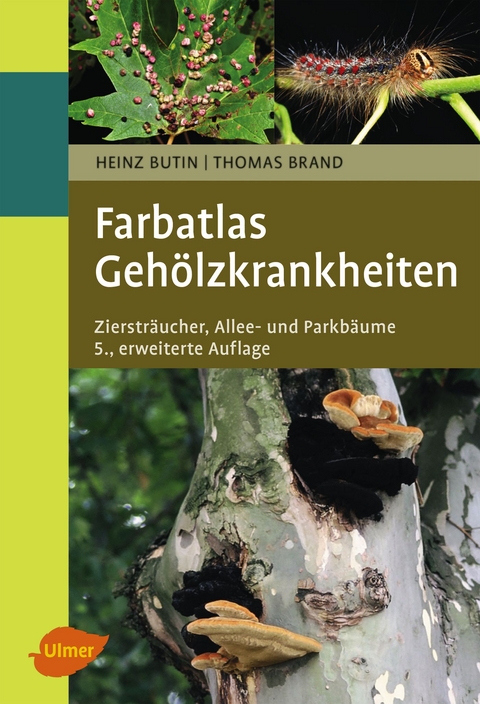 Gehölzkrankheiten - Heinz Butin, Thomas Brand