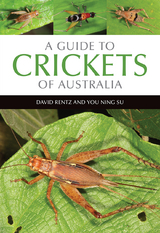 A Guide to Crickets of Australia -  David Rentz,  You Ning Su