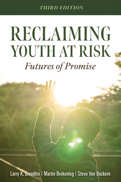 Reclaiming Youth at Risk - Larry K. Brendtro, Martin Brokenleg, Steve Van Bockern