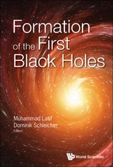 Formation Of The First Black Holes - 