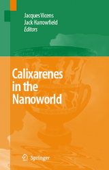 Calixarenes in the Nanoworld - 