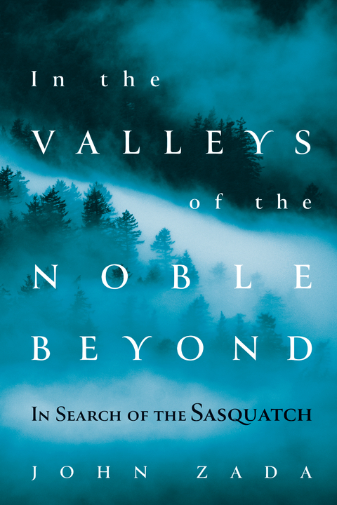 In the Valleys of the Noble Beyond -  John Zada