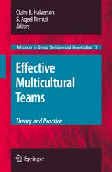 Effective Multicultural Teams: Theory and Practice - 