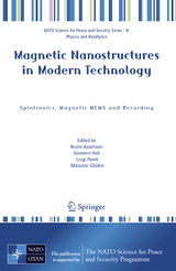 Magnetic Nanostructures in Modern Technology - 