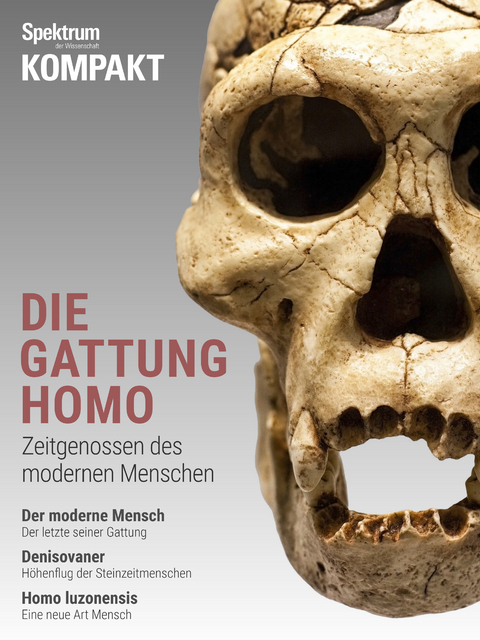 Spektrum Kompakt - Die Gattung Homo -  Spektrum der Wissenschaft