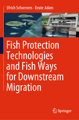 Fish Protection Technologies and Fish Ways for Downstream Migration - Ulrich Schwevers, Beate Adam