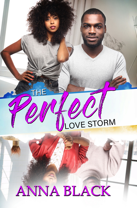 Perfect Love Storm -  Anna Black