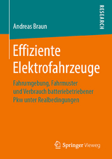 Effiziente Elektrofahrzeuge - Andreas Braun