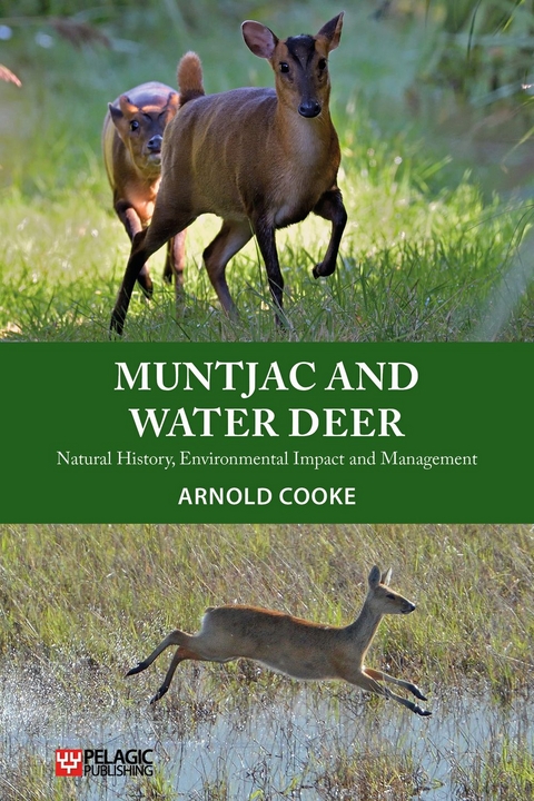 Muntjac and Water Deer -  Arnold Cooke