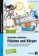 Geometrie entdecken: Flächen und Körper - Andreas Marschall, Laura Petry