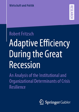 Adaptive Efficiency During the Great Recession - Robert Fritzsch