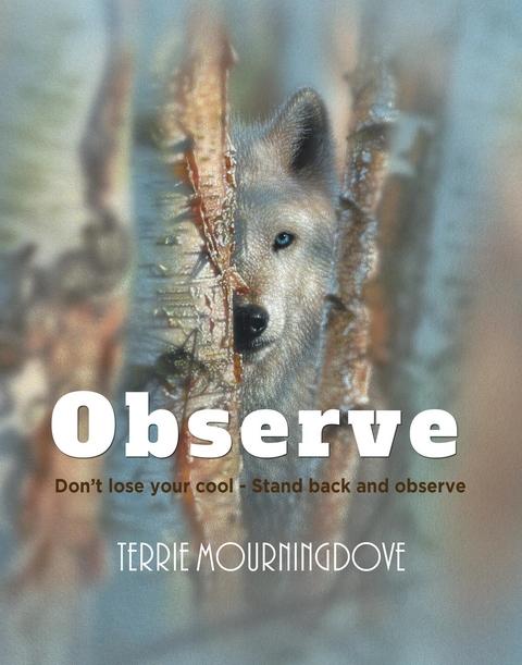 Observe -  Terrie Mourningdove