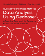 Qualitative and Mixed Methods Data Analysis Using Dedoose - Michelle Salmona, Eli Lieber, Dan Kaczynski