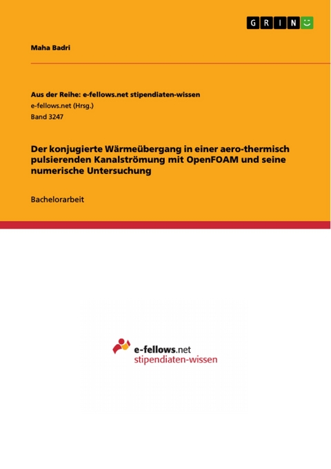 Der konjugierte Wärmeübergang in einer aero-thermisch pulsierenden Kanalströmung mit OpenFOAM und seine numerische Untersuchung - Maha Badri