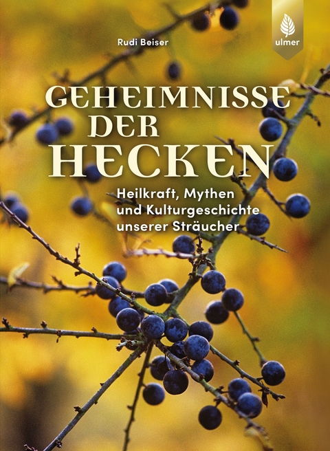 Geheimnisse der Hecken - Rudi Beiser