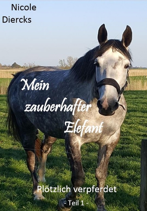 Mein zauberhafter Elefant - Nicole Diercks