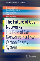 The Future of Gas Networks - Meysam Qadrdan, Muditha Abeysekera, Jianzhong Wu, Nick Jenkins, Bethan Winter