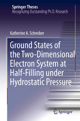 Ground States of the Two-Dimensional Electron System at Half-Filling under Hydrostatic Pressure - Katherine A. Schreiber