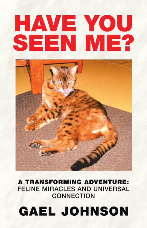 Have You Seen Me? - Gael Johnson