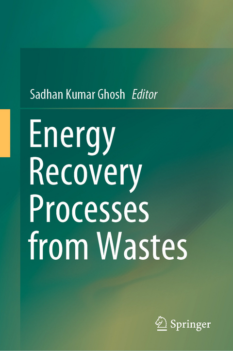 Energy Recovery Processes from Wastes - 