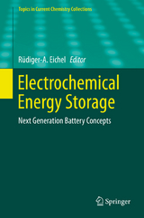 Electrochemical Energy Storage - 