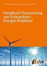 Handbuch Finanzierung von Erneuerbare-Energie-Projekten - 