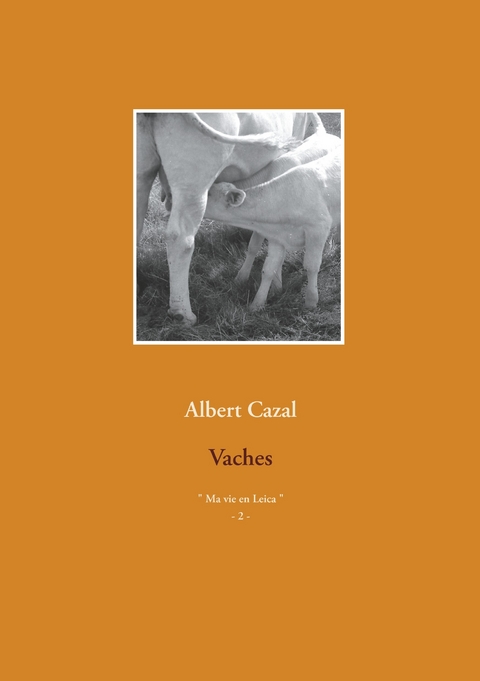 Vaches - Albert Cazal