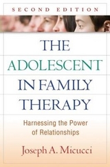 The Adolescent in Family Therapy, Second Edition - Micucci, Joseph A.