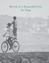 Bicycle in a Ransacked City -  Andres Cerpa