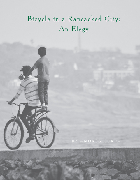 Bicycle in a Ransacked City -  Andres Cerpa