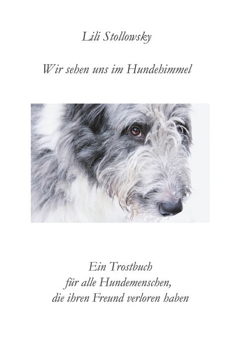 Wir sehen uns im Hundehimmel - Lili Stollowsky